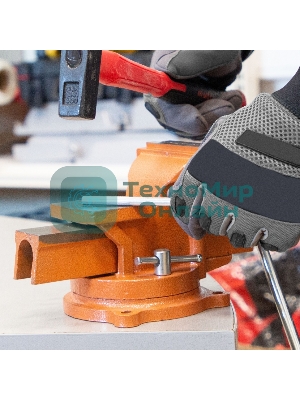 Тиски слесарные Sparta 100мм поворотные с наковальней