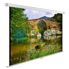 Экран Cactus 220x165 см WallExpert CS-PSWE-220x165-WT 1:1 настенно-потолочный рулонный белый