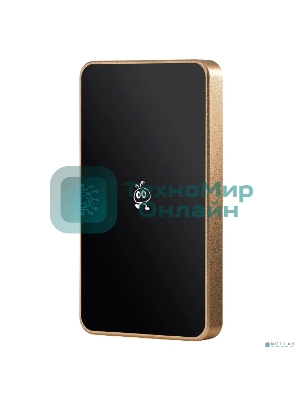 Внешний SSD Smartbuy Portable SSD 2TB P5 Pro USB 3.2 champagne