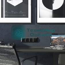 Розетка с заземлением, шторками и USB тип A+C (черный)