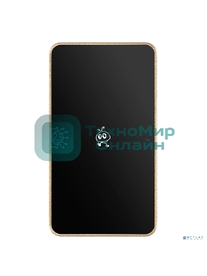 Внешний SSD Smartbuy Portable SSD 2TB P5 Pro USB 3.2 champagne