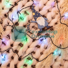 Гирлянда светодиодная Neon-night 