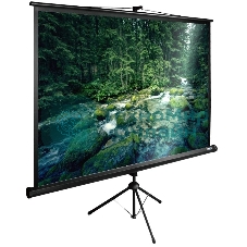 Экран Cactus 165x220 см TriExpert CS-PSTE-220х165-BK 4:3 напольный рулонный
