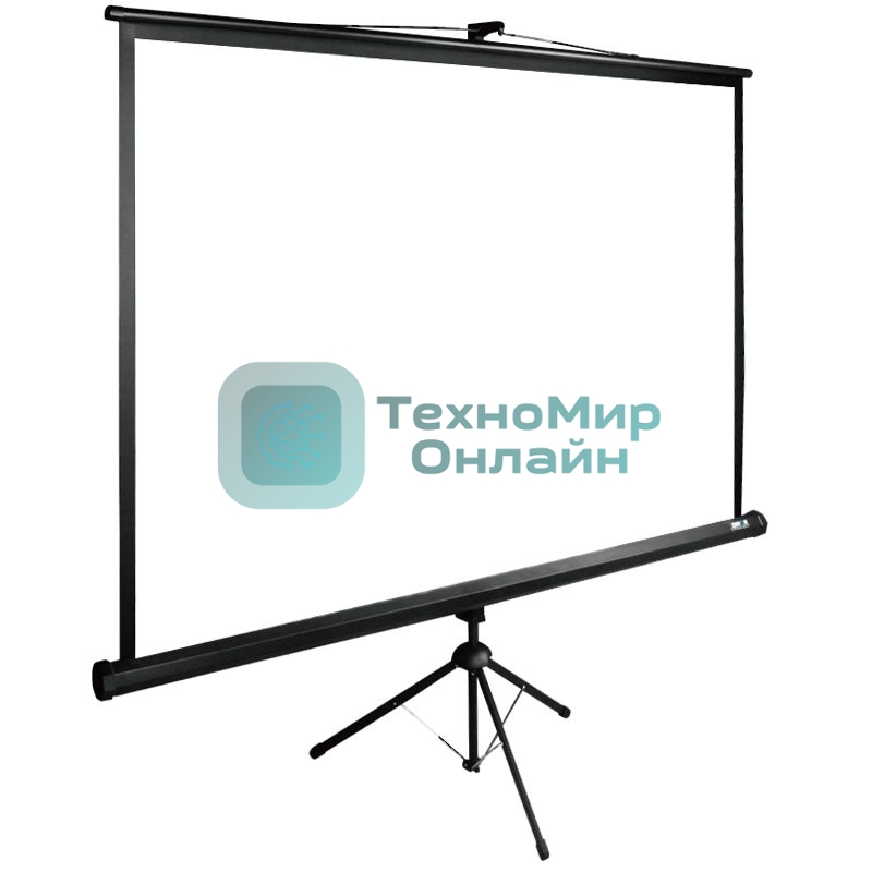 Экран Cactus 220x220 см TriExpert CS-PSTE-220х220-BK 1:1 напольный рулонный