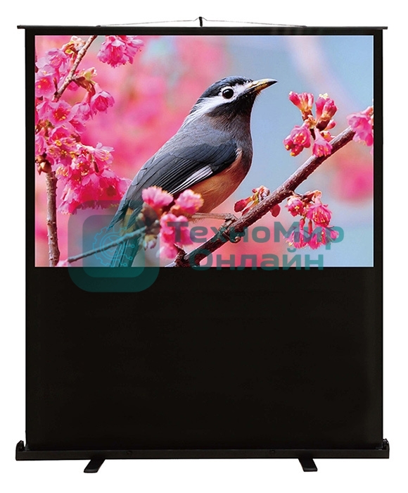 Экран Cactus 90x120 см FloorCompactExpert CS-PSFLCE-120X90 4:3 напольный рулонный