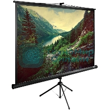 Экран Cactus 220x220 см TriExpert CS-PSTE-220х220-BK 1:1 напольный рулонный