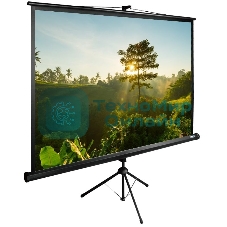 Экран Cactus 200x200 см TriExpert CS-PSTE-200х200-BK 1:1 напольный рулонный