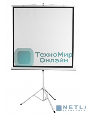 Экран 200x200см Digis Kontur-D DSKD-1106 1:1 напольный рулонный