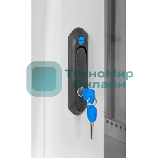 Шкаф ЦМО телекоммуникационный настенный сварной 12U (600 500) съемные стенки, дверь стекло