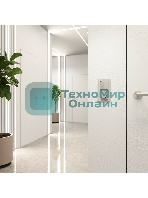 Выключатель двухклавишный проходной WERKEL (дымчатый) W1222004