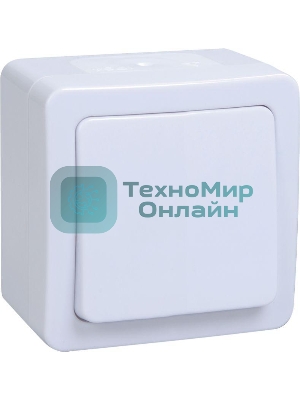 Выключатель IEK EVMP10-K01-10-54-EC ВС20-1-0-ГПБ выкл 1кл о/у IP54 (цвет клавиш: белый) ГЕРМЕС PLUS