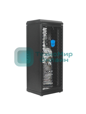 Шкаф сувенирный ЦМО ШТК-СП-С-8.1.1-9005, серверный