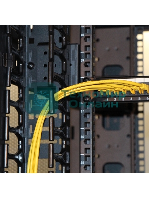 Вертикальные органайзеры с пластиковыми пальцами 149 мм, 42U, для шкафов Business шириной 800 мм, 2 шт., черные