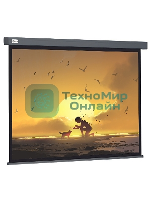 Экран Cactus 124.5x221 см Wallscreen CS-PSW-124X221-SG 16:9 настенно-потолочный рулонный серый