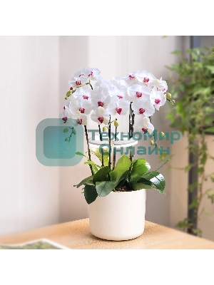 Светильник фито Cactus GARDEN светод. 7.5Вт цв.св.:белый (CS-LED-ORCHID)