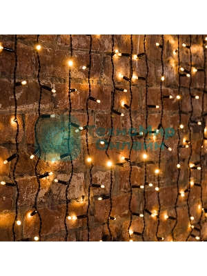 Гирлянда светодиодная Neon-night 