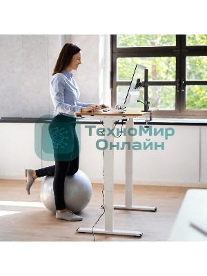 Кронштейн ONKRON D121E для монитора 13