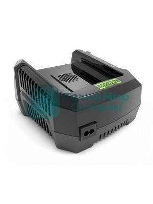 Зарядное устройство Greenworks 291470782В