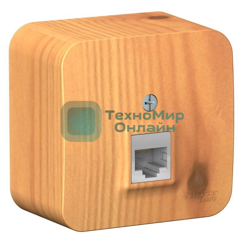 Розетка компьютерная 1-м ОП Blanca RJ45 кат.5e изол. пласт. ясень SchE BLNIA045005