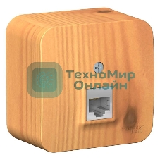 Розетка компьютерная 1-м ОП Blanca RJ45 кат.5e изол. пласт. ясень SchE BLNIA045005