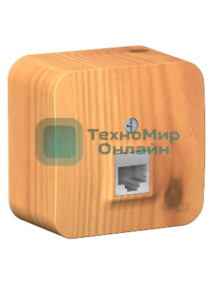 Розетка компьютерная 1-м ОП Blanca RJ45 кат.5e изол. пласт. ясень SchE BLNIA045005