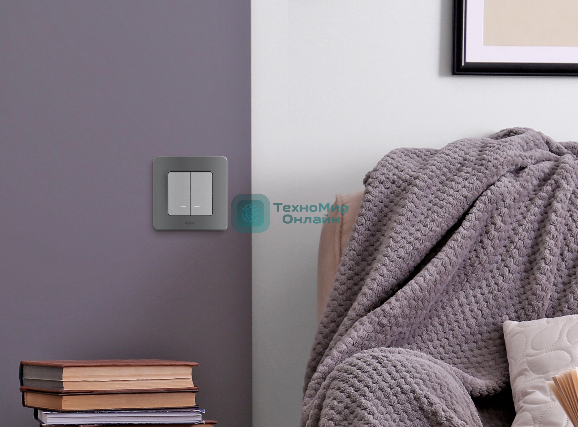 Выключатель 2-клавишный с подсветкой/индикацией 10AX 250 В алюминий