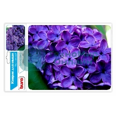 Коврик для мыши Buro BU-M20049 рисунок/сирень