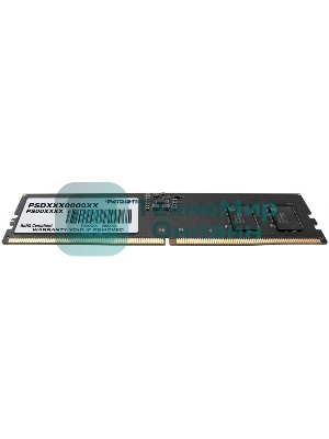 Оперативная память Patriot Signature, DDR5, 32GB (1x32 GB), 4800 MHz, CL40, DIMM