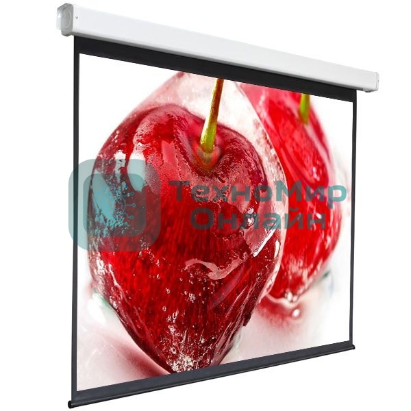Экран 220x300см Digis Electra-F DSEF-4305 4:3 настенно-потолочный рулонный (моторизованный привод)