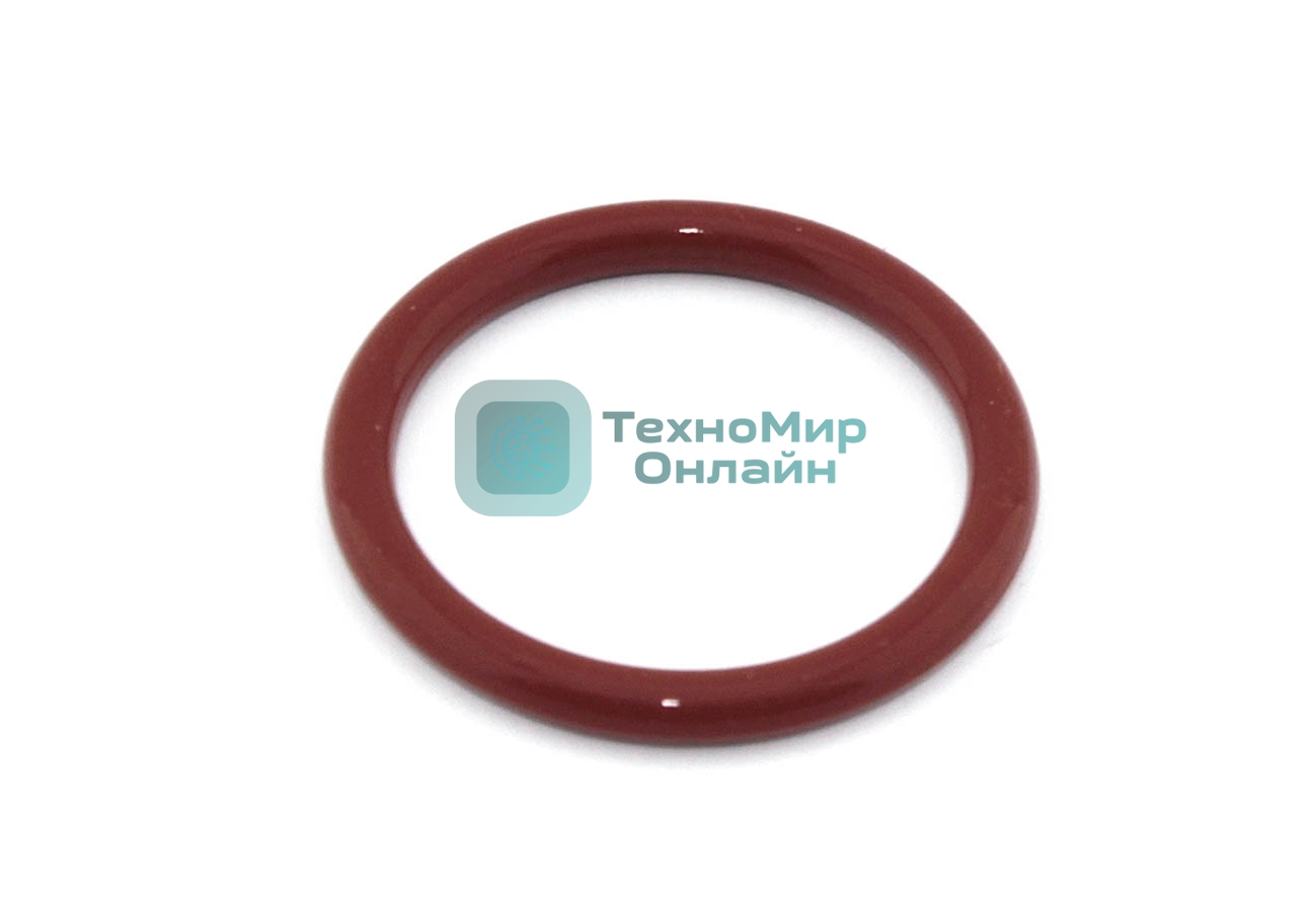 Кольцо уплотнительное на ЗУ 70196