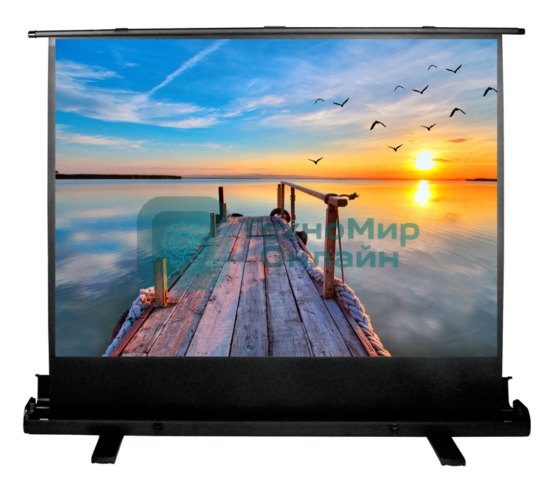 Экран Cactus 113x200 см FloorExpert CS-PSFLE-200X113 16:9 напольный рулонный