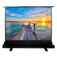 Экран Cactus 113x200 см FloorExpert CS-PSFLE-200X113 16:9 напольный рулонный