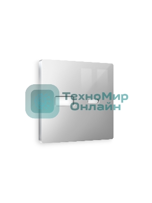 Лицевая панель ALFA (Серебро глянец) для розетки 2USB тип A+C QUANT AP4110