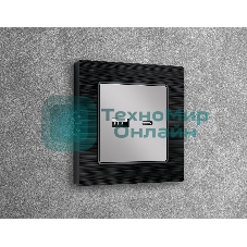 Лицевая панель ALFA (Серебро глянец) для розетки 2USB тип A+C QUANT AP4110
