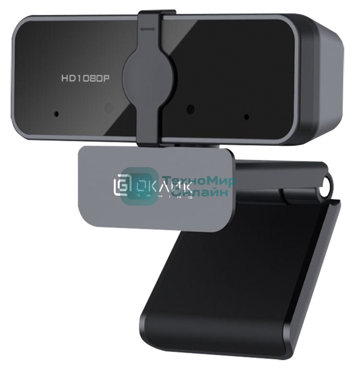 Веб-камера Oklick/Оклик OK-C21FH черный 2Mpix (1920x1080) USB2.0 с микрофоном