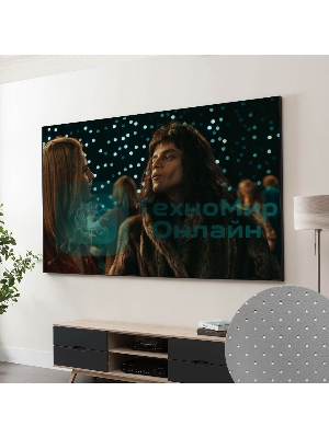 Экран Cinema S'OK SCPSFR-298x168PG Pro 135'' 16:9 настенный, постоянного натяжения, акустическое плотно Perforated Gray, черная рамка 1 см