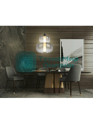 Подвесной светодиодный светильник Ambrella light LH11052 BK/SM черный/дымчатый 12W 3000K D230*265