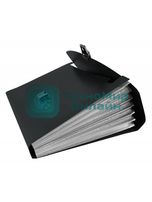 Папка-портфель Бюрократ -BPP13BLCK 13 отделений, A4, пластик, 0.7мм, черный