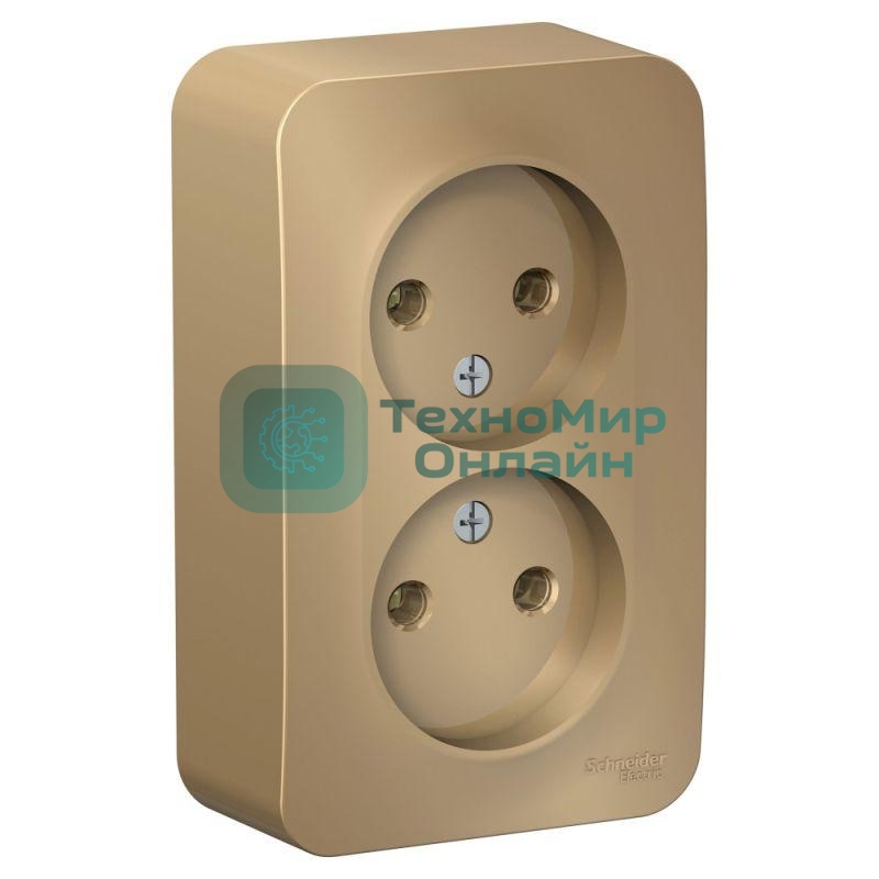 Розетка 2-ая б/з без шторок 16А, 250 В, изолир. пластина SE Blanca наруж Титан