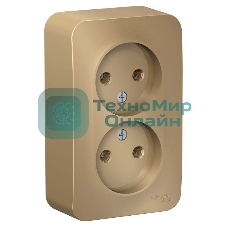 Розетка 2-ая б/з без шторок 16А, 250 В, изолир. пластина SE Blanca наруж Титан