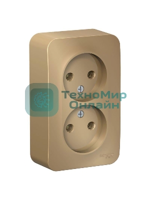 Розетка 2-ая б/з без шторок 16А, 250 В, изолир. пластина SE Blanca наруж Титан