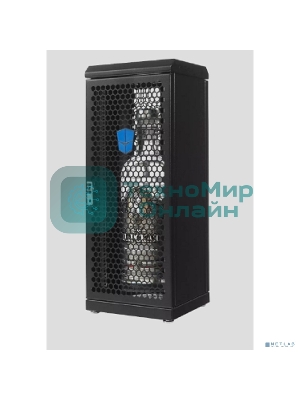 Шкаф сувенирный ЦМО ШТК-СП-С-8.1.1-9005, серверный