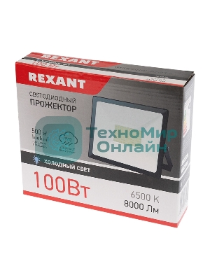 Прожектор светодиодный Rexant 605-005 100 Вт 200–260В IP65 8000 лм 6500 K холодный свет