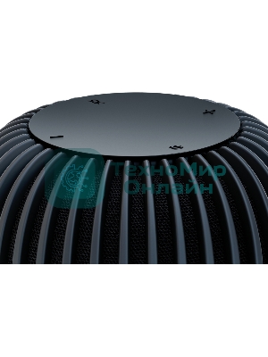 Умная колонка Sber SberBoom, 40Вт, стандартная, 1 динамик, Мультирум, Стереопара, Wi-Fi, Bluetooth 5.0, Салют, черный