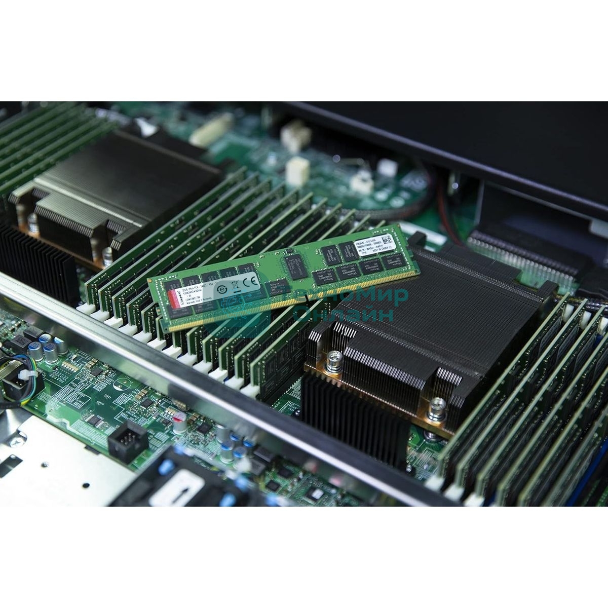 Оперативная память Kingston Server Premier, DDR5, 48Gb (1x48 Gb), 5600 MHz, CL46, DIMM, ECC