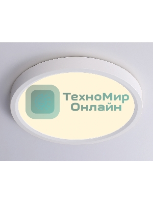 Светильник светодиодный ультратонкий Ambrella light FZ1901 WH белый IP54 13W 3000K-6500K CCT-переключатель D230*25 (Без ПДУ)