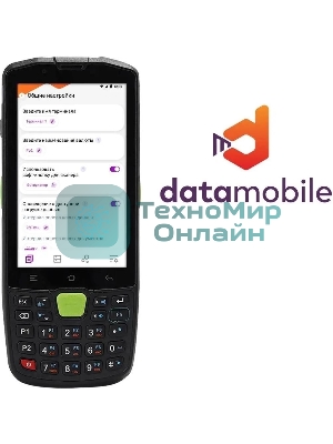 Программное обеспечение Неискл. право на исп-ие DataMobile версия Стандарт подп.1г. (DM12M)