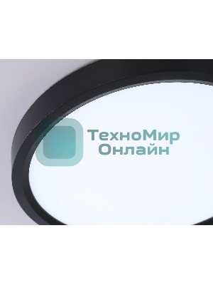 Светильник светодиодный ультратонкий Ambrella light FZ1902 BK черный IP54 13W 3000K-6500K CCT-переключатель D230*25 (Без ПДУ)