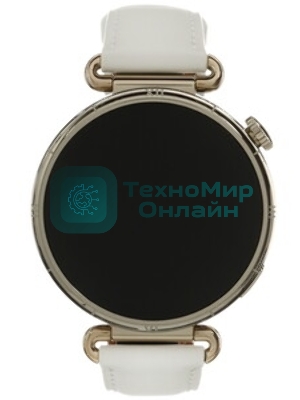 Умные часы Huawei Watch GT 6 ATM-B19, 1.47