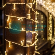 Гирлянда Neon-night Нить 10м, постоянное свечение, белый ПВХ, 230В, теплый белый